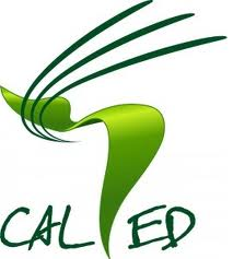 Logo caled